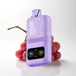 Aivono Aim Magic 20000 Puffs Grape Ice Dual Mesh 600mAh
