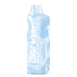 Blackcurrant Mint Lost Mary Flavours UK - LOST MARY MO5000 THZJ12