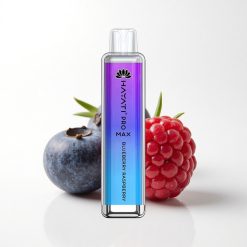 Hayati Pro Max 4000 Puffs Blueberry Raspberry 1400mAh 2ml Rechargeable Disposable Vape