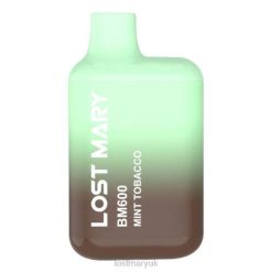 Mint Tobacco Lost Mary Online UK - LOST MARY BM600 Disposable Vape THZJ130