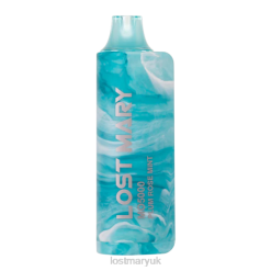 Plum Rose Mint Lost Mary Vape Sale - LOST MARY MO5000 THZJ58