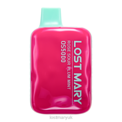 Rose Sour Plum Mint Lost Mary Vape Sale - LOST MARY OS5000 THZJ98