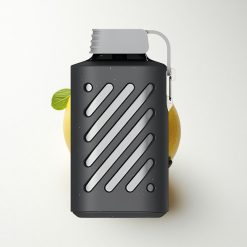 VOZOL GEAR 10000 Puffs Lemon Mint 500mAh 20ml