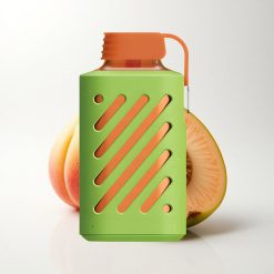 VOZOL GEAR 10000 Puffs Peach Mango Watermelon 500mAh Mesh Coil