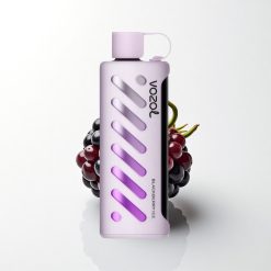 VOZOL Gear Shisha 25000 Puffs Blackberry Ice Dual Mesh 1000mAh