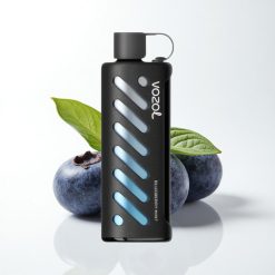 VOZOL Gear Shisha 25000 Puffs Blueberry Mint Dual Mesh 1000mAh