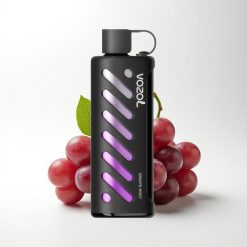 VOZOL Gear Shisha 25000 Puffs Grape Mint Dual Mesh 1000mAh
