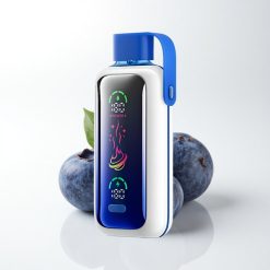 VOZOL Star 20000 Puffs Blueberry Storm 650mAh Dual Mesh