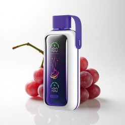 VOZOL Star 20000 Puffs Grape Ice 650mAh Dual Mesh