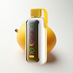 VOZOL Star 20000 Puffs Mango Ice 650mAh Dual Mesh