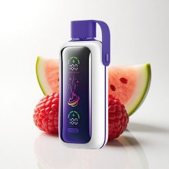 VOZOL Star 20000 Puffs Raspberry Watermelon Dual Mesh 650mAh