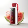 VOZOL Star 20000 Puffs Watermelon Ice Dual Mesh 650mAh