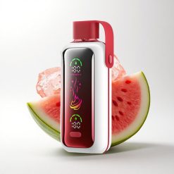 VOZOL Star 20000 Puffs Watermelon Ice Dual Mesh 650mAh