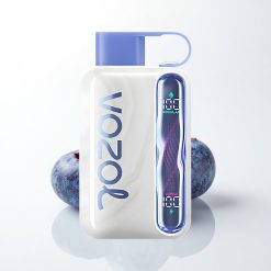 VOZOL STAR 40000 Puffs Blueberry Ice 1000mAh 20mg Nicotine