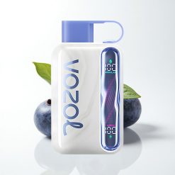 VOZOL STAR 40000 Puffs Blueberry Mint 1000mAh 50mg Nicotine